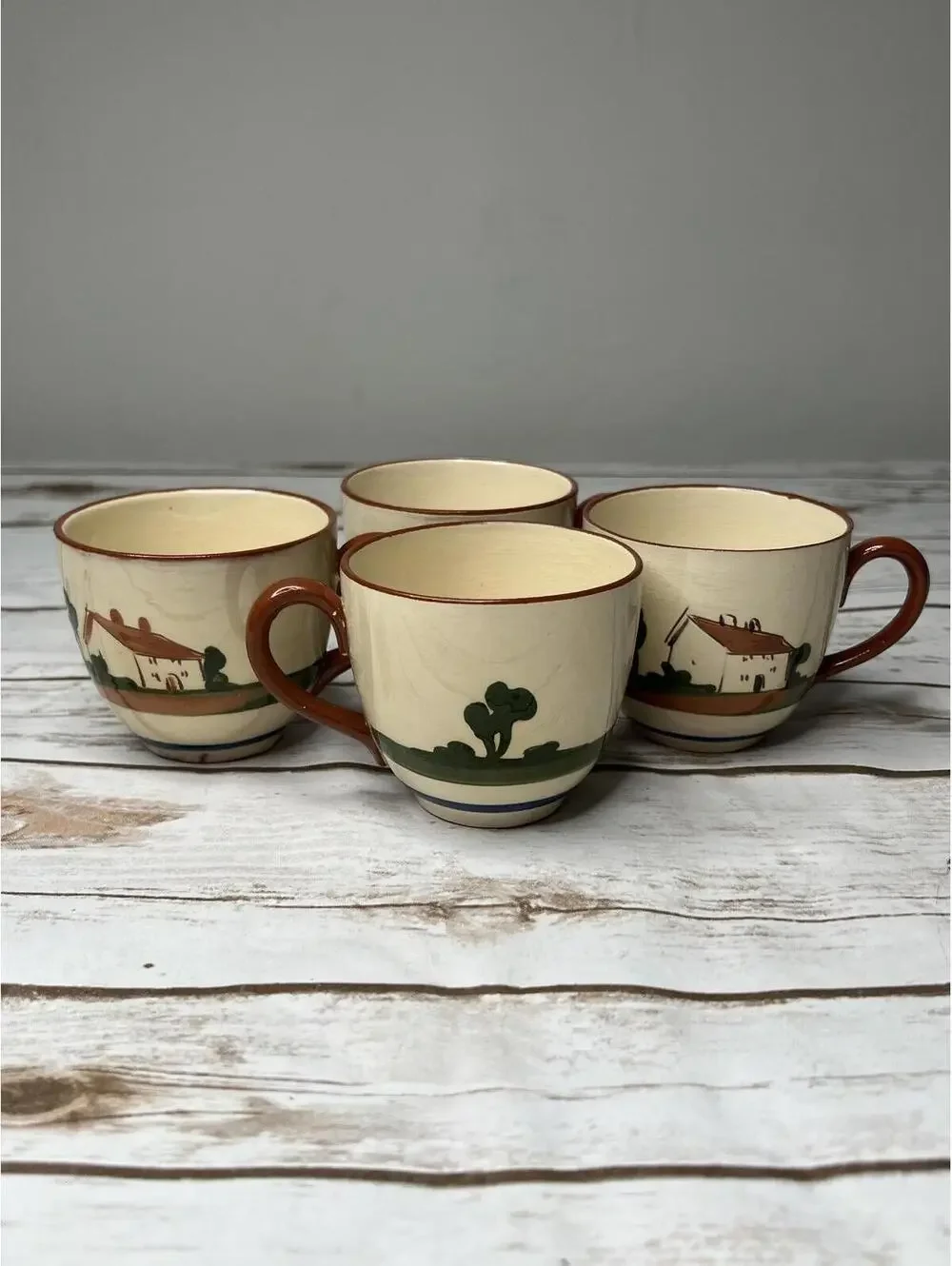 Vintage Hand-Painted Ceramic Devon Ware Cup‎ Set